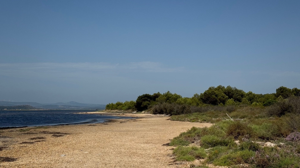 Image Séminaire EMRG Occitanie et Outre-Mer 3