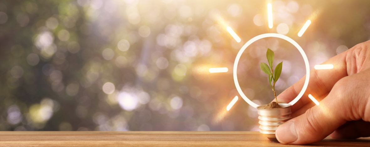 Plante naissante dans une sorte d'ampoule pour décrire l'innovation