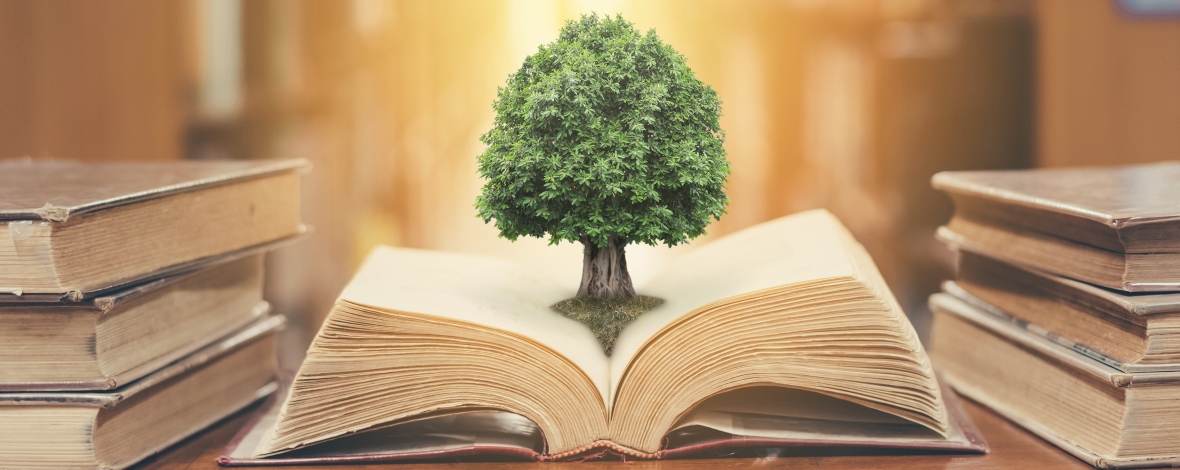 Arbre poussant au milieu d'un livre